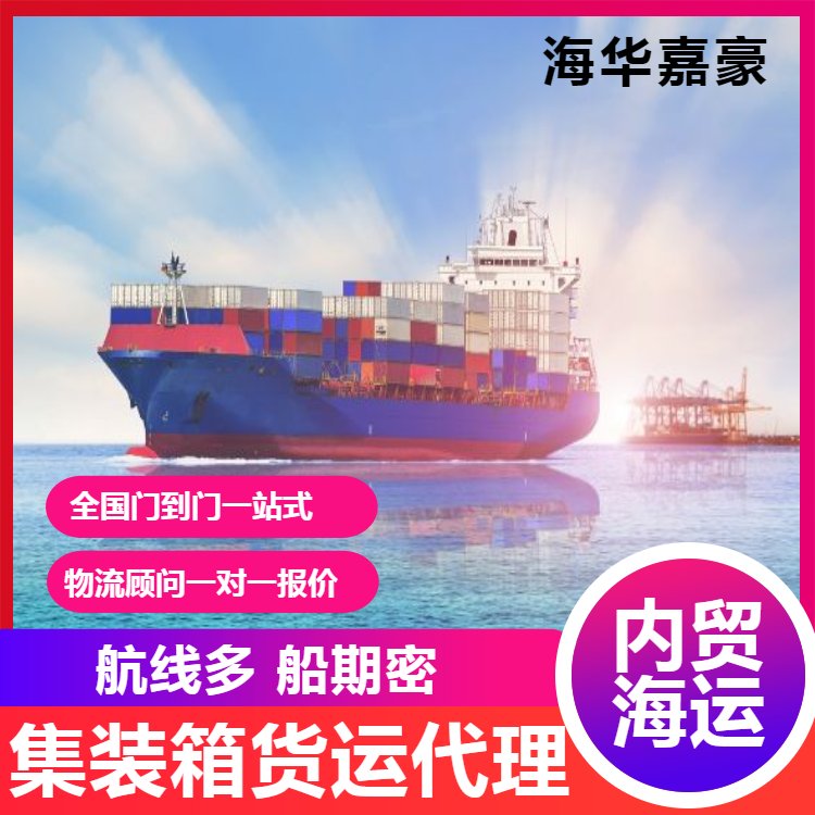 国内海运代理与集装箱物流的关键业务分析